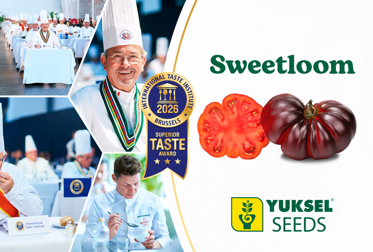 Sweetloom réaffirme son excellence gustative 