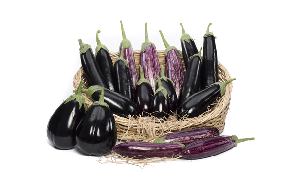 Aubergine