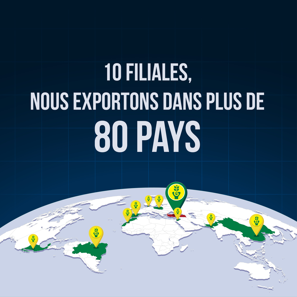 Plus de 80 pays